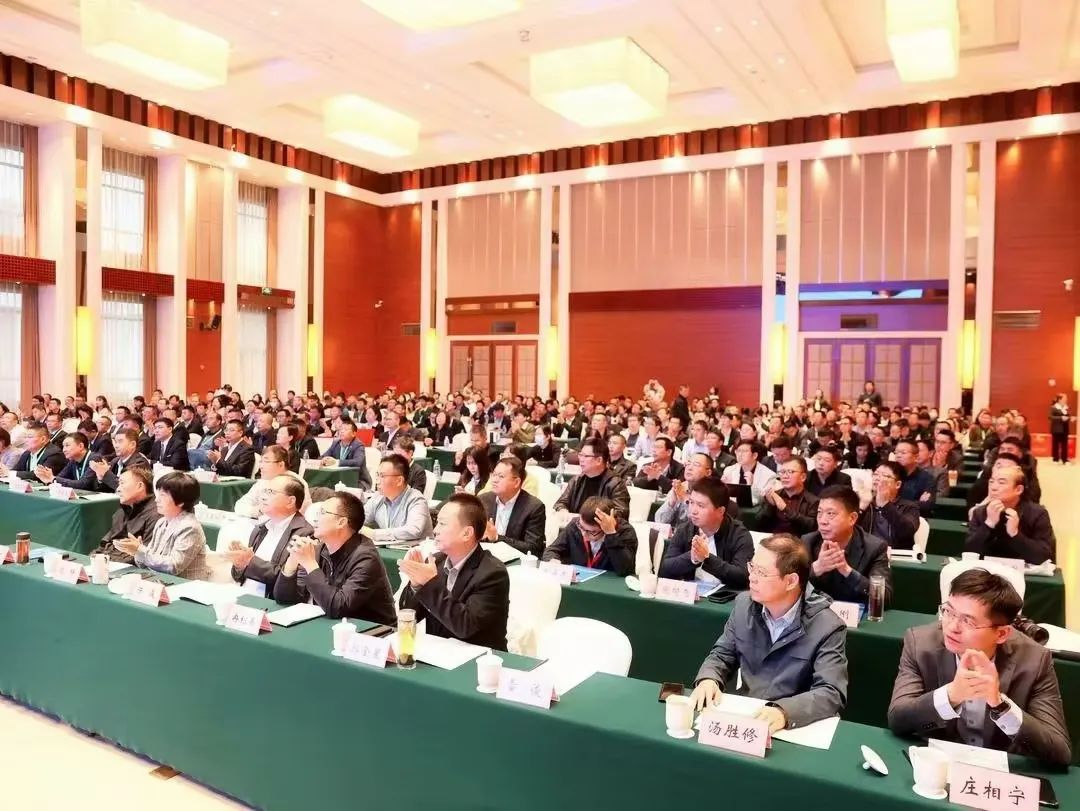 A238 A238.jpg